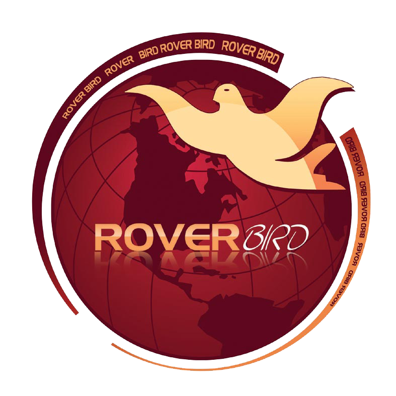 Rover Bird Yemen